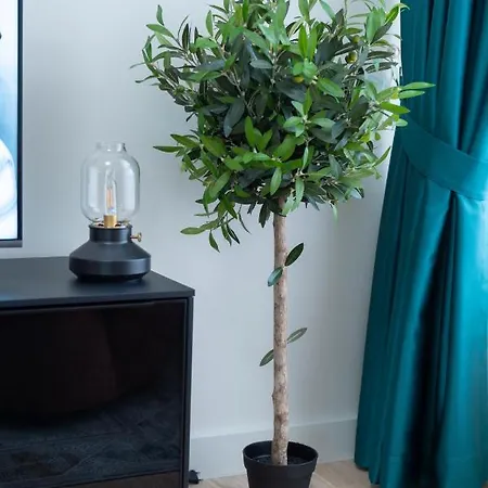 Lägenhet Tommy Bw *